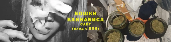 соль ск Алапаевск