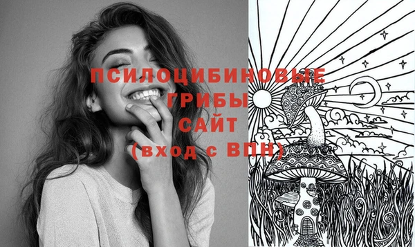 ПСИЛОЦИБИНОВЫЕ ГРИБЫ Нея