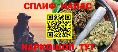 прущие грибы Абакан