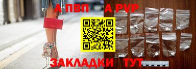 прущие грибы Абакан