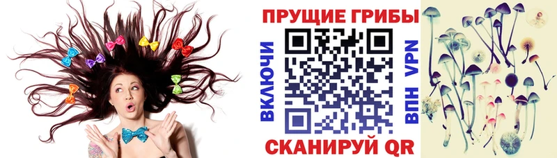 наркота  Аша  Псилоцибиновые грибы Magic Shrooms 