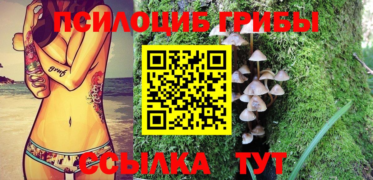 Аша  Галлюциногенные грибы мицелий  Вход с VPN 