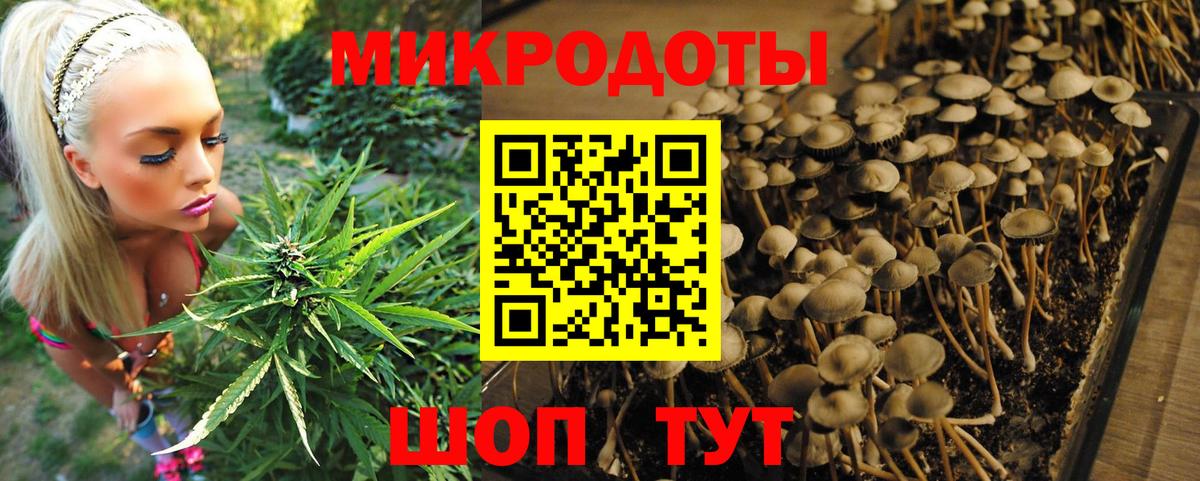 Галлюциногенные грибы Magic Shrooms  Галлюциногенные грибы Magic Shrooms  Аша 